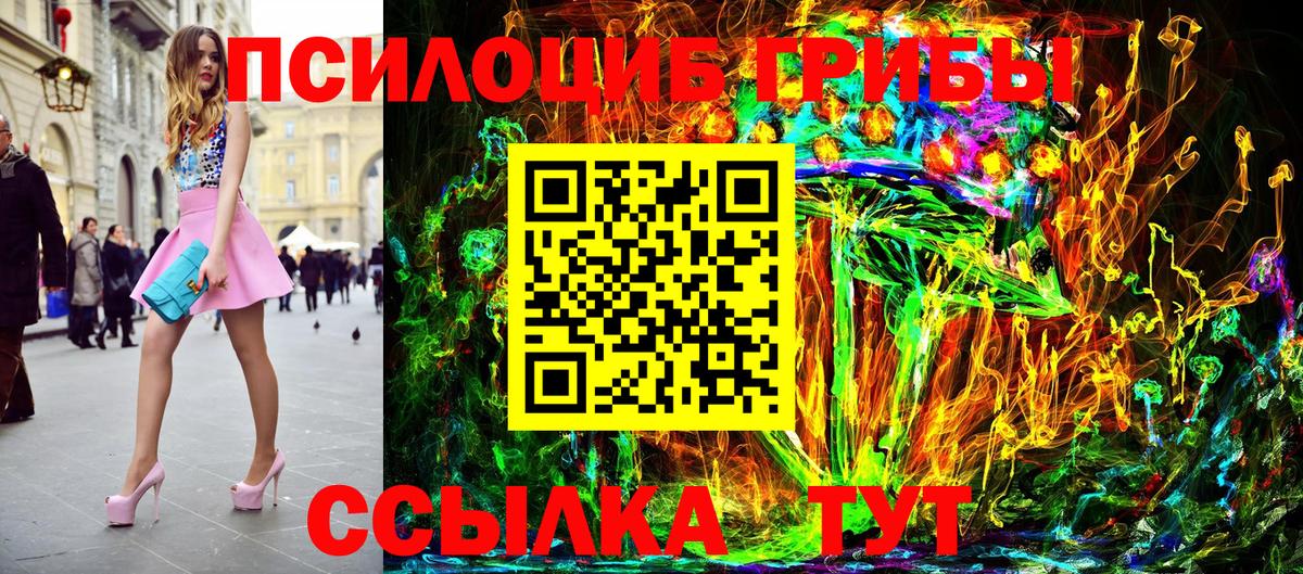 Галлюциногенные грибы Psilocybe Славянск-на-Кубани