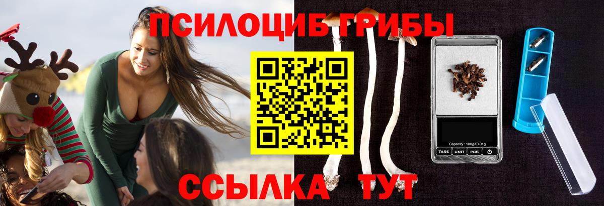 Псилоцибиновые грибы GOLDEN TEACHER  Галлюциногенные грибы Psilocybine cubensis  Славянск-на-Кубани  Вход с VPN 